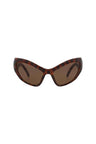 20355 - Havana Havana Brown
