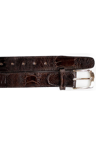 Belvedere 2000 Men's Ostrich Skin Belt (BVB2729)
