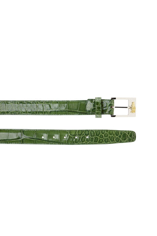 Belvedere 2008 Men's Alligator Belt (BVB2703)