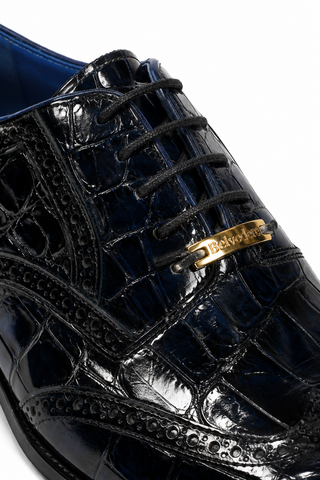 Belvedere Donato Alligator Oxford (194-196)