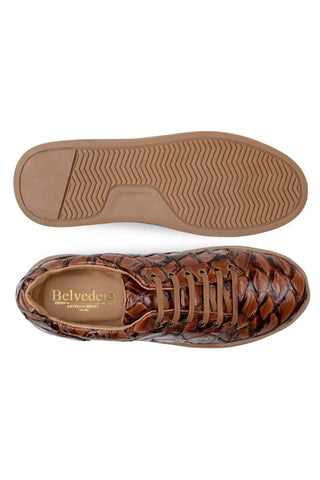 Belvedere Kingstone BR02 Pirarucu Lace-Up Casual Sneaker (BV3186)