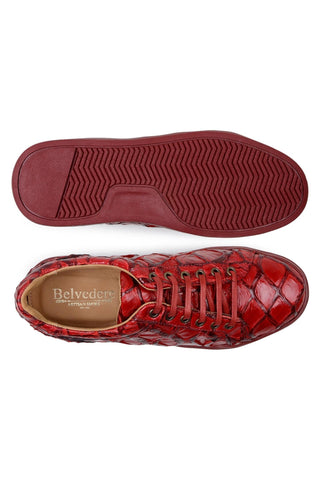 Belvedere Kingstone BR02 Pirarucu Lace-Up Casual Sneaker (BV3186)