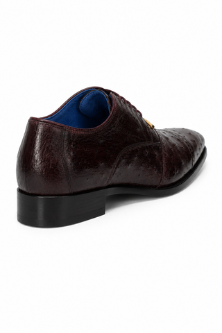 Belvedere Mauro Ostrich Oxford (175-178)