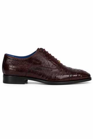 Belvedere Mauro Ostrich Oxford (175-178)
