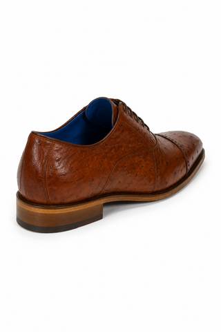 Belvedere Mauro Ostrich Oxford (175-178)