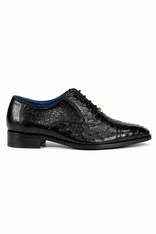 Belvedere Mauro Ostrich Oxford (175-178)