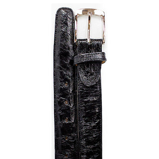 Belvedere Men's Belt Black Ostrich Quill 2001 (BVB2735)-AmbrogioShoes