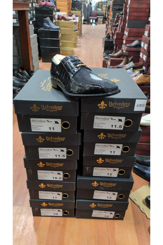 Belvedere Rocco Eel & Stingray Derby (245-251)