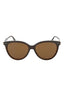 20924 - Havana Havana Brown