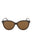 20924 - Havana Havana Brown