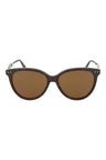20924 - Havana Havana Brown