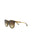 20355 - Havana Havana Brown