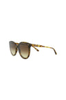 20355 - Havana Havana Brown