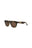 20355 - Havana Havana Brown
