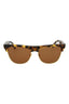 20355 - Havana Havana Brown
