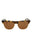 20355 - Havana Havana Brown