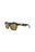 20355 - Havana Havana Brown