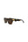 20355 - Havana Havana Brown