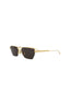 70045 - Gold Gold Grey