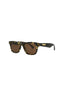 20355 - Havana Havana Brown