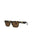 20355 - Havana Havana Brown