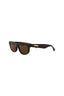 20009 - Brown Brown Brown