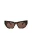 20355 - Havana Havana Brown