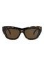 20355 - Havana Havana Brown