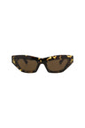 20355 - Havana Havana Brown