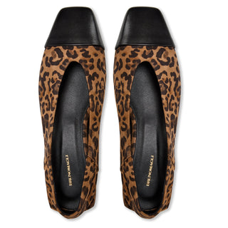 Bruno Magli Patria Women’s Shoes Suede Leather Cap Toe Flat (BMW1018)-AmbrogioShoes