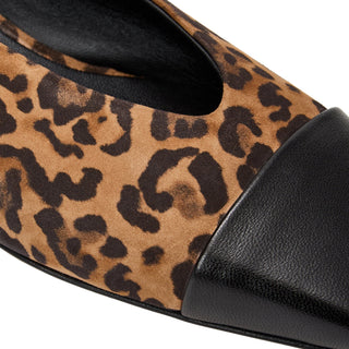 Bruno Magli Patria Women’s Shoes Suede Leather Cap Toe Flat (BMW1018)-AmbrogioShoes