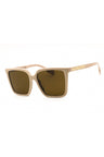380773 - Beige/Dark Brown