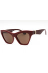 411973 - Bordeaux  / Brown