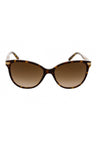 300213 - Havana / Brown Gradient