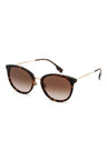 300213 - Dark Havana / Brown Gradient