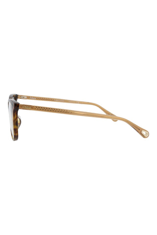 Chloé  DARK HAVANA Eyeglasses