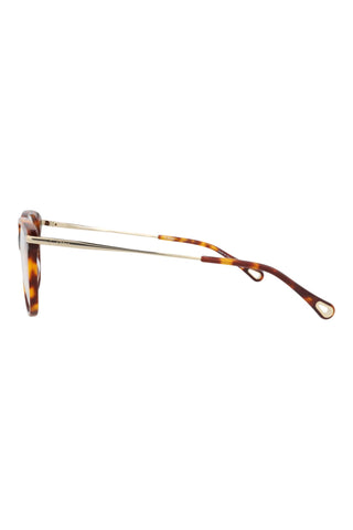 Chloé  MEDIUM HAVANA Eyeglasses
