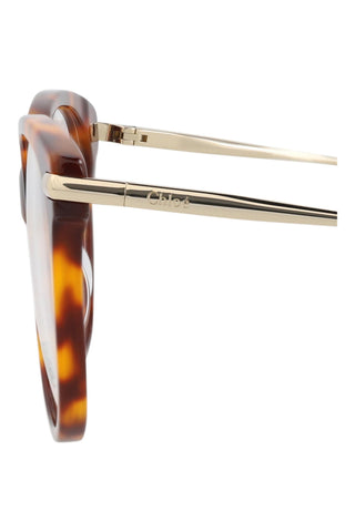 Chloé  MEDIUM HAVANA Eyeglasses
