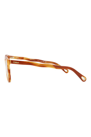 Chloé  BLONDE HAVANA Eyeglasses