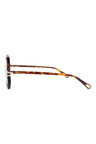 Chloé  MEDIUM HAVANA Eyeglasses