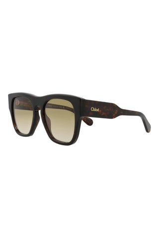 Chloé  DARK HAVANA Sunglasses
