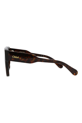 Chloé  DARK HAVANA Sunglasses