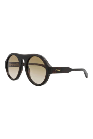 Chloé  Dark Havana Sunglasses