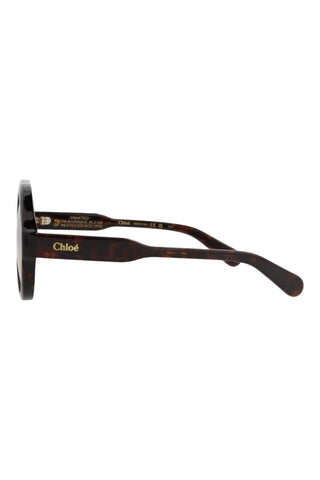 Chloé  Dark Havana Sunglasses