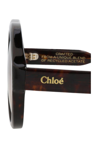Chloé  Dark Havana Sunglasses