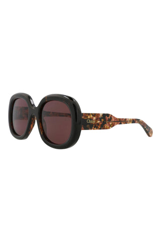 Chloé AMBER BROWN Sunglasses