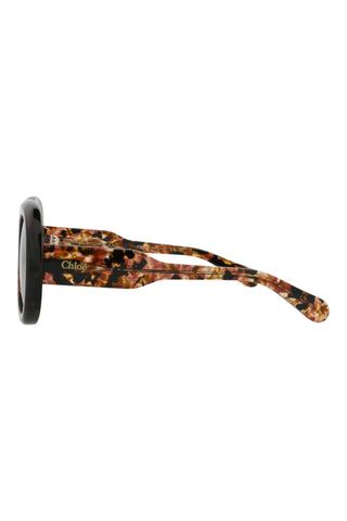 Chloé AMBER BROWN Sunglasses