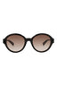 20355 - Havana Havana Brown