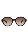 20355 - Havana Havana Brown