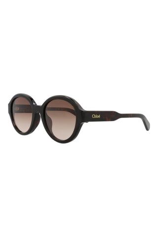 Chloé  Dark Havana Sunglasses